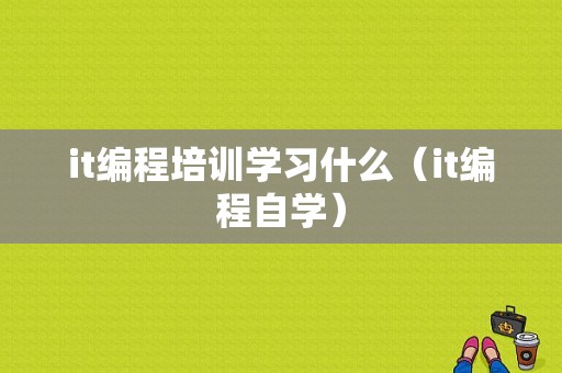 it编程培训学习什么（it编程自学）