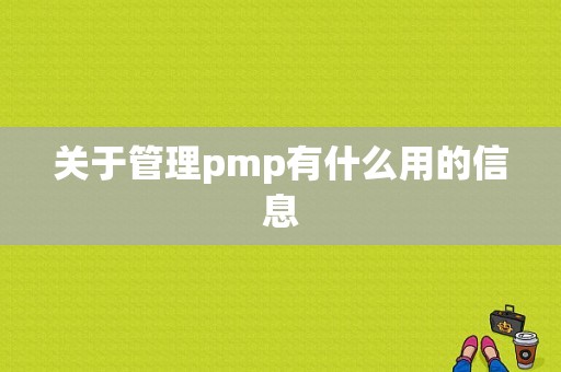 关于管理pmp有什么用的信息