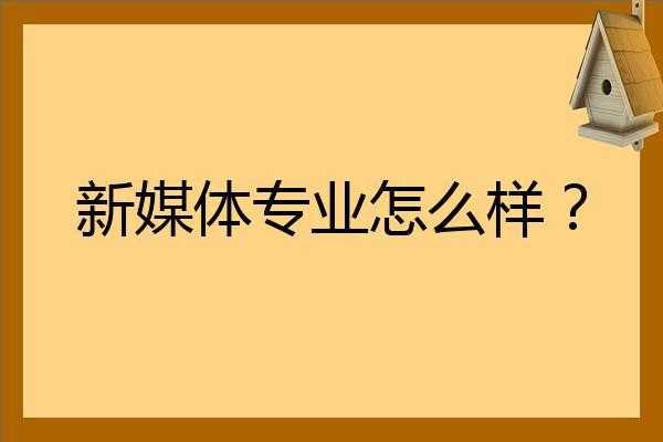 新媒体报读什么专业（新媒体专业需要选什么科）