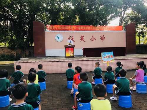 关于板芙有什么小学校的信息