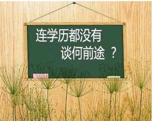 没有高文凭可以做什么（没有高文凭可以做什么生意）