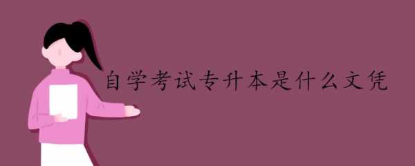 专套本学什么（专套本学什么专业比较容易）