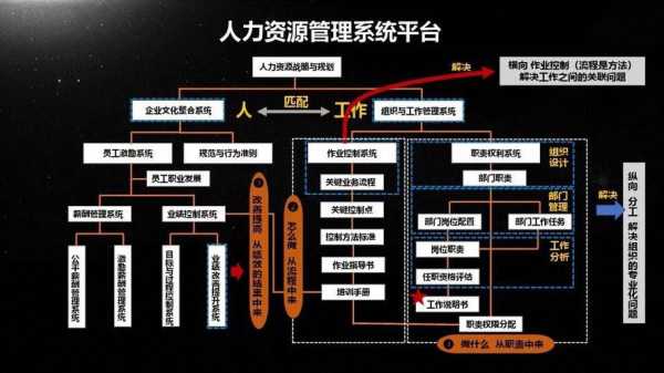 人力资源能学到什么（人力资源能干啥）