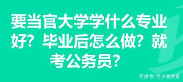 要当官读什么大学专业（想要当官读什么专业）