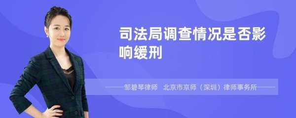 司法调查什么时候做（司法调查都调查些什么）