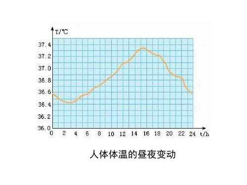 体温波动属于什么热（体温波动类型）