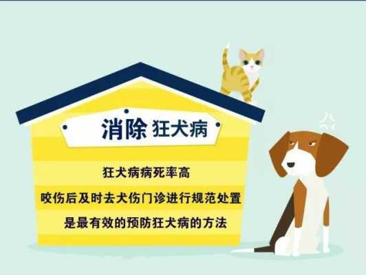 狂犬病人什么隔离方式（狂犬病人采取什么隔离）