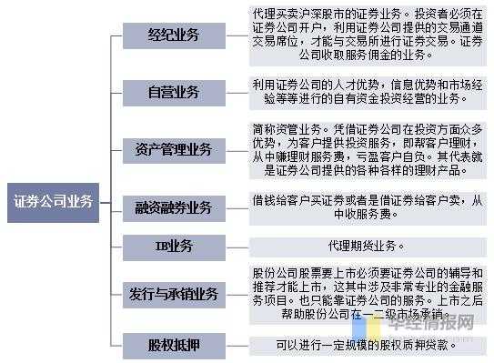 证券经济业务包括什么（证券经济业务的主要业务内容）