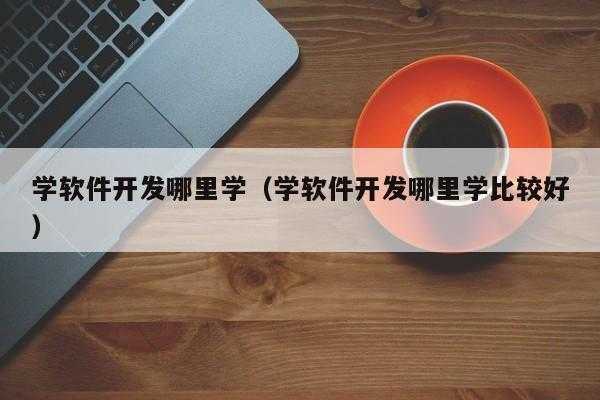 学软件开发要什么条件（学软件开发从哪入手）