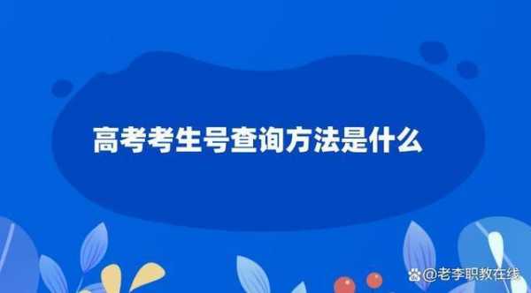 考试报名档案号是什么（考生档案报名序号怎么查询）