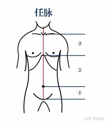 任脉起于什么（任脉的起始和走向）