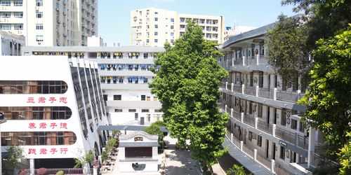 岭南有什么高级学校（广州岭南高中怎么样）