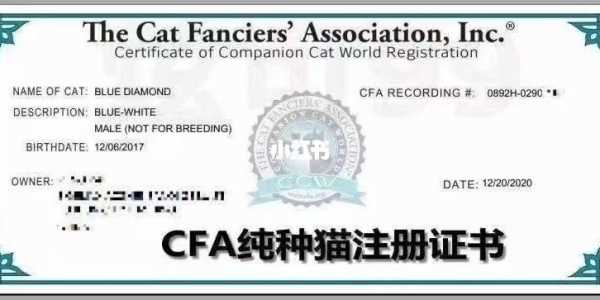 cfa血统需要什么条件（cfa血统证书怎么看）