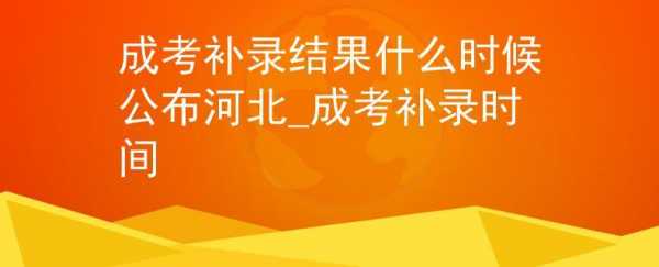 河北补录什么志愿（河北补录结果什么时候公布）