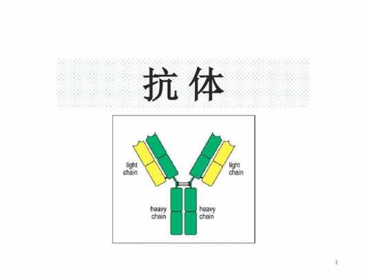 抗体通常称为什么（抗体是一种特殊的什么?）