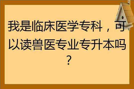 临床该教什么条件（临床要什么学历）