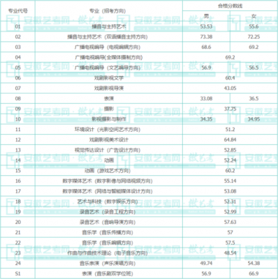 中传艺考文化考什么（中传艺考文化课多少分2021）