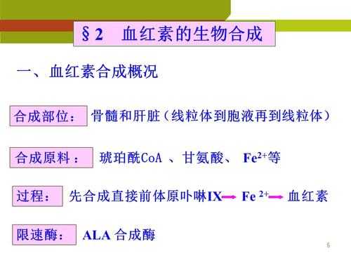 血红素由什么合成（血红素合成途径）