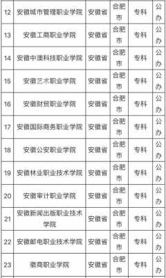 合肥大专学什么条件（合肥大专院校有哪些学校）