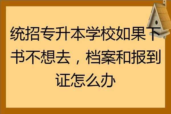 专升本报到要什么手续（专升本报到要什么手续和证件）