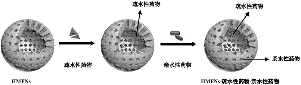 什么是疏水性药物（什么是疏水性药物的特点）