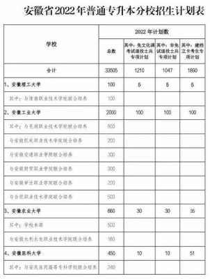 专升本计划是什么（专升本具体实施计划）