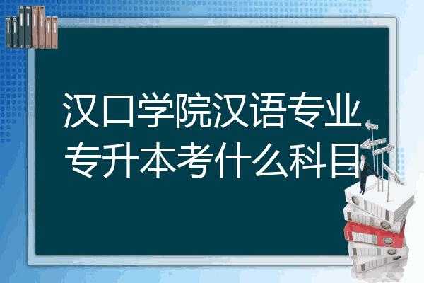 转汉语专业需要考什么（转汉语专业需要考什么证书）