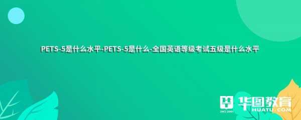 pets什么水平（pets级别水平）