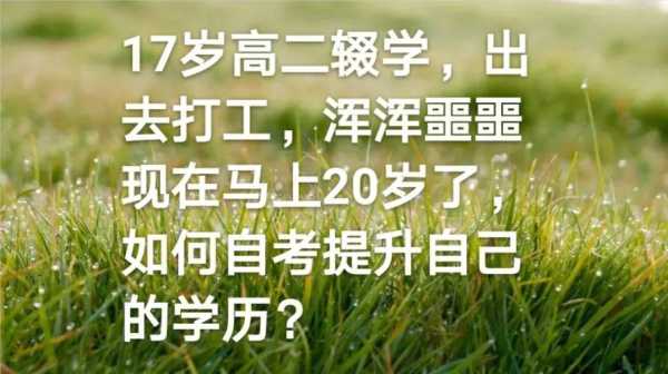 辍学自学能考什么证书（辍学自学可以高考吗）