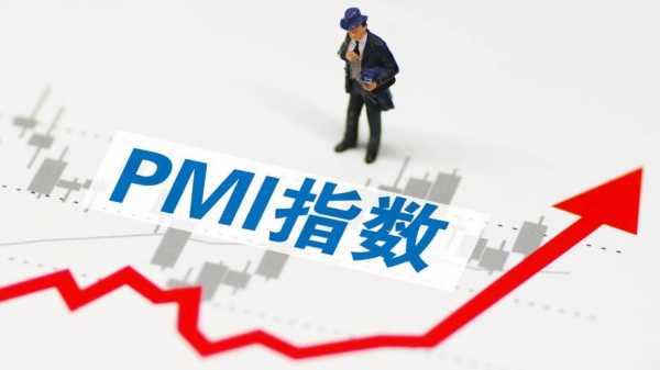 pmi是什么课程（pmi指数）