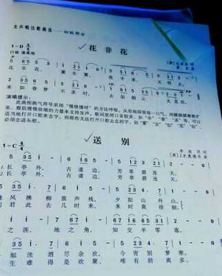 初学唱歌唱什么歌（初学唱歌唱什么歌好）