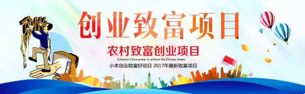 2017年学什么好致富（2017年适合做什么）