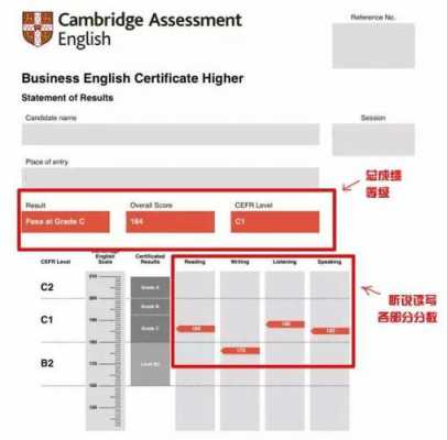 什么人可以考bec（什么人可以考雅思）