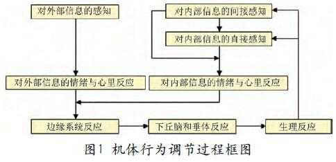 反馈调节系统是什么（反馈调节是指啥）