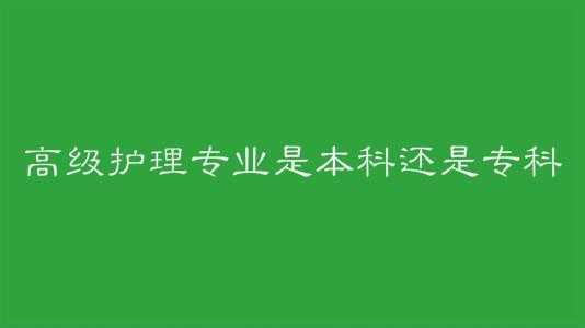 高护都护理什么（高护应该报什么专业）