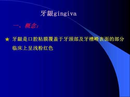 什么叫牙龈固有层（牙龈固有层纤维中数量最多,分布广泛的是哪组纤维束?）