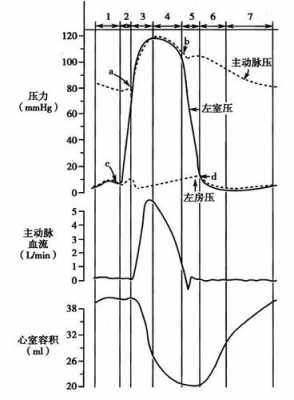 心室压力容量曲线反映什么（心室压力容量曲线反映什么）