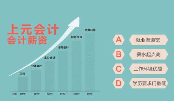 会计到底学的是什么（会计大概是学的什么）