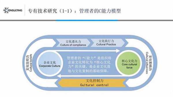 文化能力包括什么（文化能力包括什么内容）