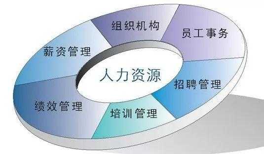 人力资源是什么学科（人力资源是什么学科的）