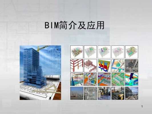 建筑方面bim是什么（建筑bim是做什么的）