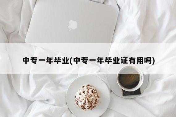 学完中专可以做什么（学完中专可以做什么工作）