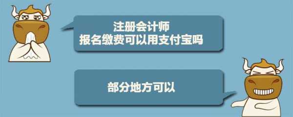 会计属于什么人员（会计属于什么人员支付宝）