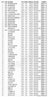 山东400分学什么专业（山东400多分上什么大学）