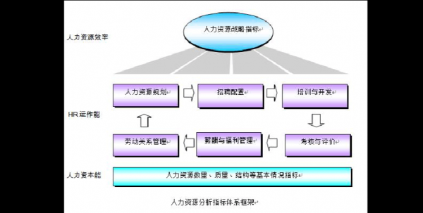 人力资源管理内容包括什么（人力资源管理的内容有哪些?）