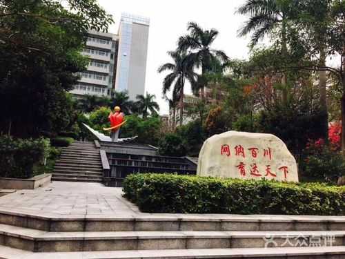 广州麓湖有什么学校（广州麓湖有什么学校好）