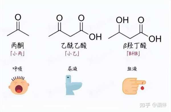 乙酰属于什么意思（乙酰念什么）