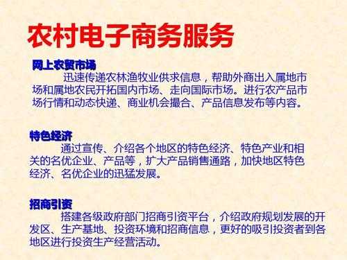 商务主要学什么（农村电子商务主要学什么）