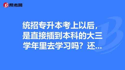 专升本为什么没考上（专升本也没考上的人后来怎么样啦）