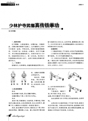 学铁拳道有什么好处（练铁拳功练法视频）